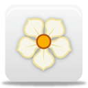magnolia icon