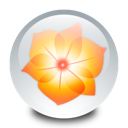 adobe icon