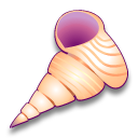 littorina,scabra,angulifera icon