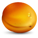 apricot, fruit icon