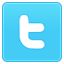 twitter icon