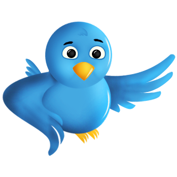 twitter,bird,animal,social network,social,sn icon