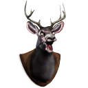 deer,head icon