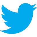 twitter svg vector icon