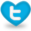 twitter,social network,social,sn icon