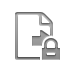 file,transfer,lock icon