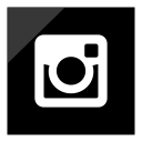 intagram, logo, media, social svg vector icon