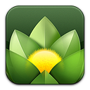 version icon