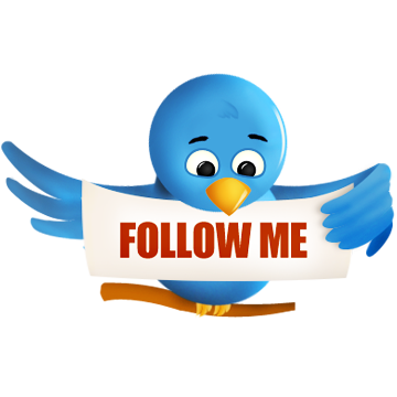 twitter,bird,animal,social network,social,sn icon