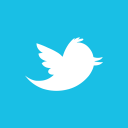 twitter,alt icon
