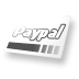 paypal icon