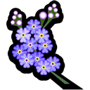 forgetmenot icon