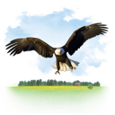 animals, eagle icon