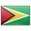 guyana icon
