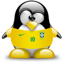 brazil,penguin,animal icon