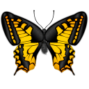 butterfly icon