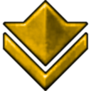 bronze icon