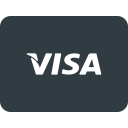 card, money, online, pay, payments, send, visa svg vector icon
