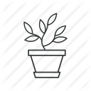 eco, flower, grow, leaves, plant, pot, seed icon