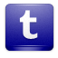 tumblr icon