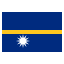 nr icon