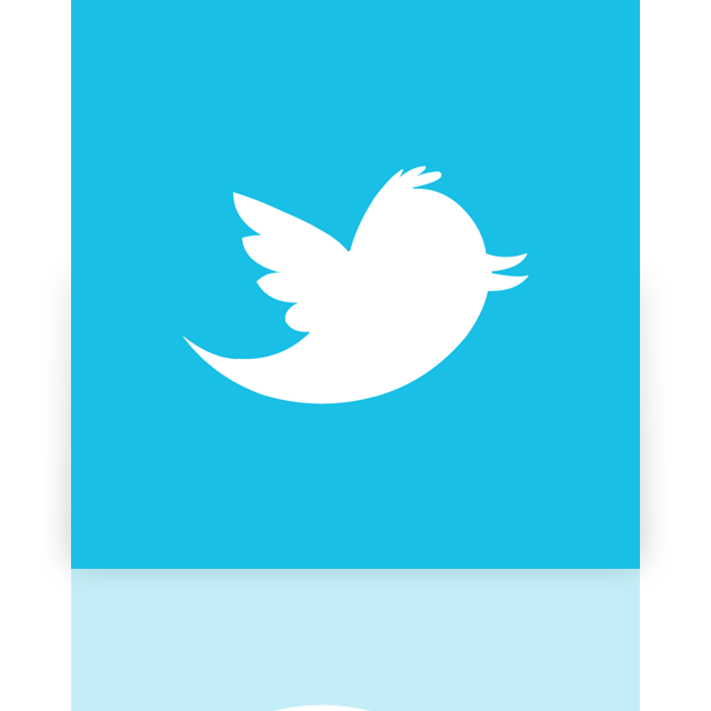 twitter,alt,mirror icon