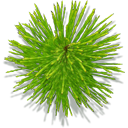 spikedplant icon