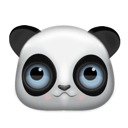 animal, bear, panda icon