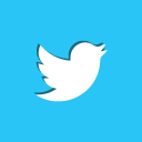 bird, social, twitter icon