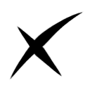 x icon