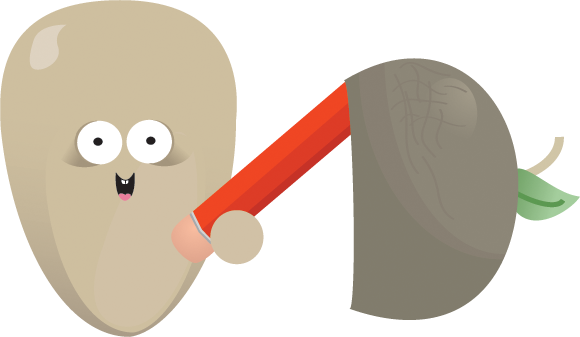 pencil,pen,edit,paint,draw,write,writing icon