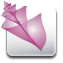 adobe,bridge icon