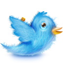 twitter icon