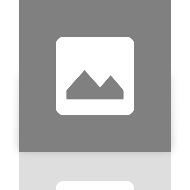 image,google,doc,mirror icon