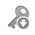 key,down icon