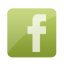 facebook,social,social network,sn icon