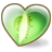 kiwi icon