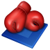 boxing icon