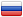 ru icon