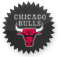 chicagobulls icon