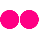 flickr,alt icon