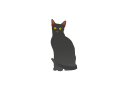 black cat, cat svg vector icon