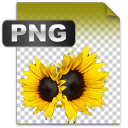 orange,alarm icon