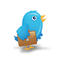 bird, twitter icon