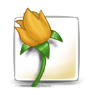 illustrator icon