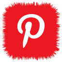 media, pintrest, social svg vector icon