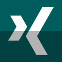 xing svg vector icon