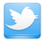 twitter icon