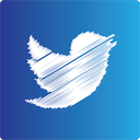 twitter icon