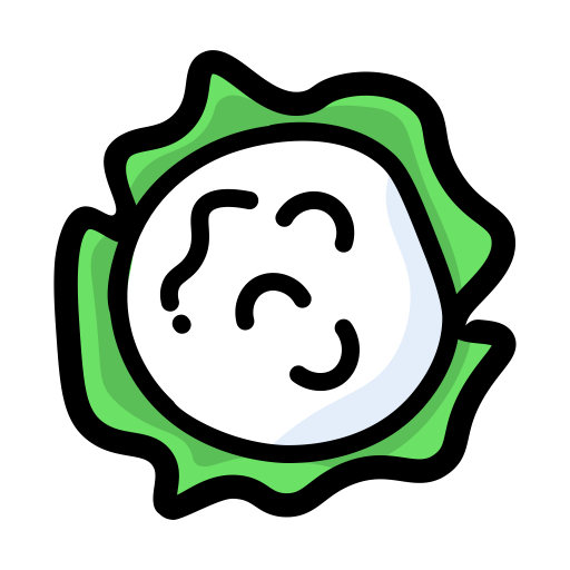 Cauliflower svg vector icon